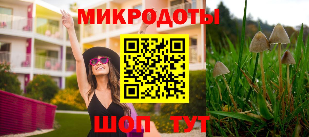 Галлюциногенные грибы Cubensis  цены наркотик  Альметьевск  Вход с VPN 