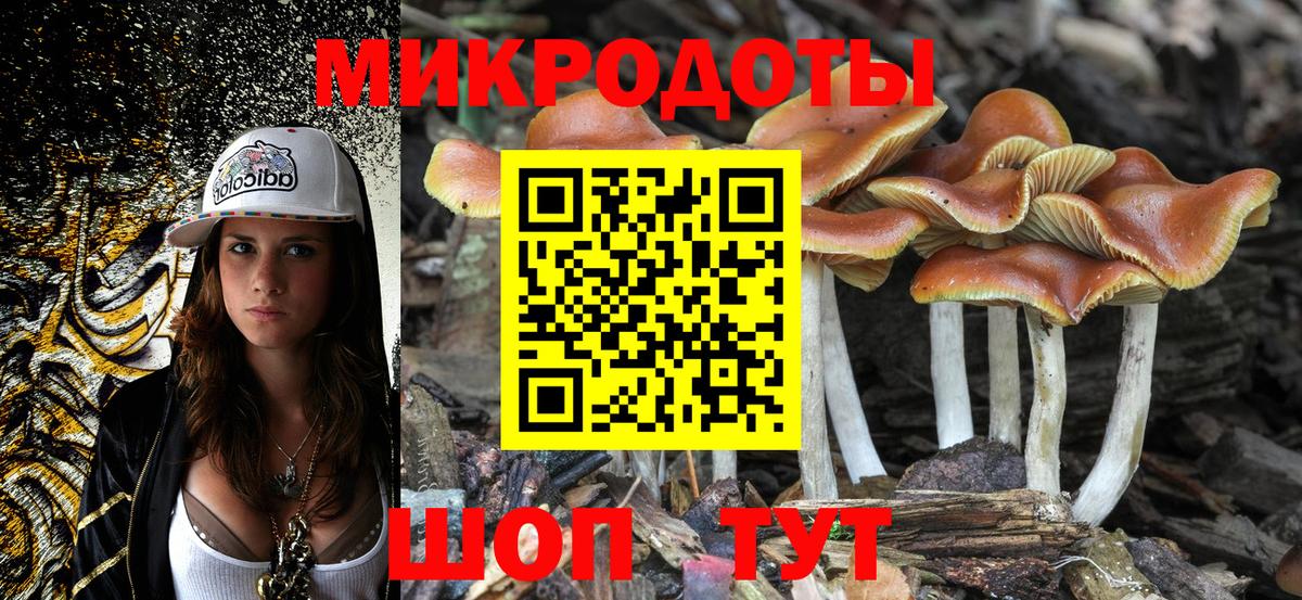 Псилоцибиновые грибы прущие грибы Альметьевск